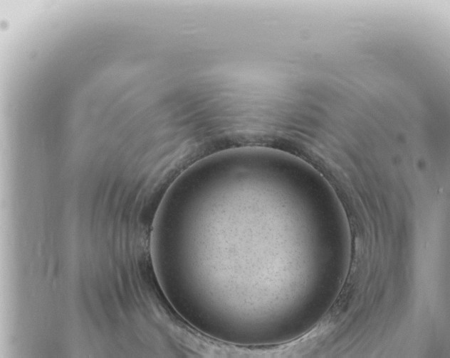 X0000088610048200706011238