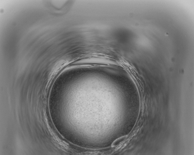 X0000088610049200706011237