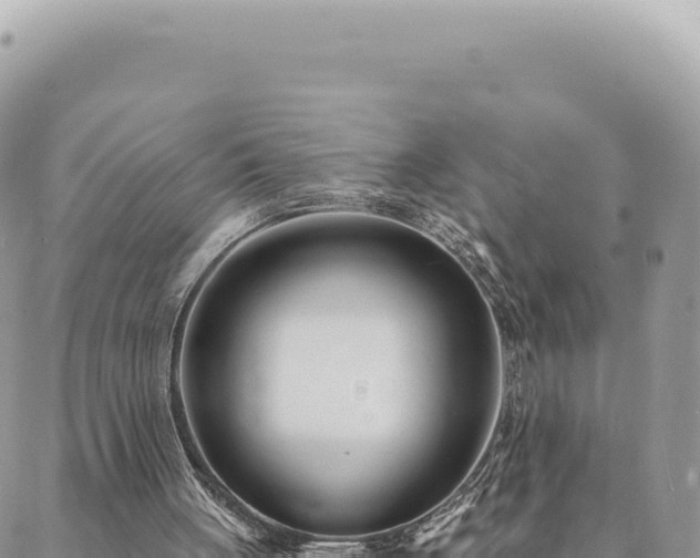 X0000088610051200706011238