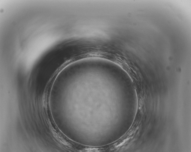 X0000088610052200706011238