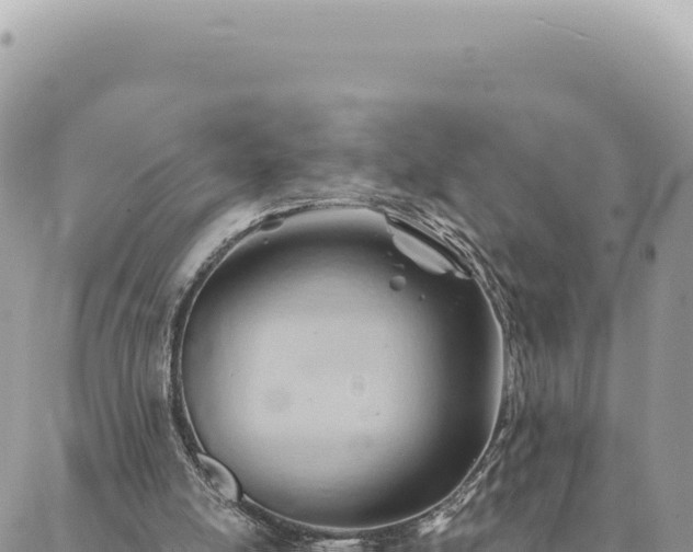 X0000088610054200706011238