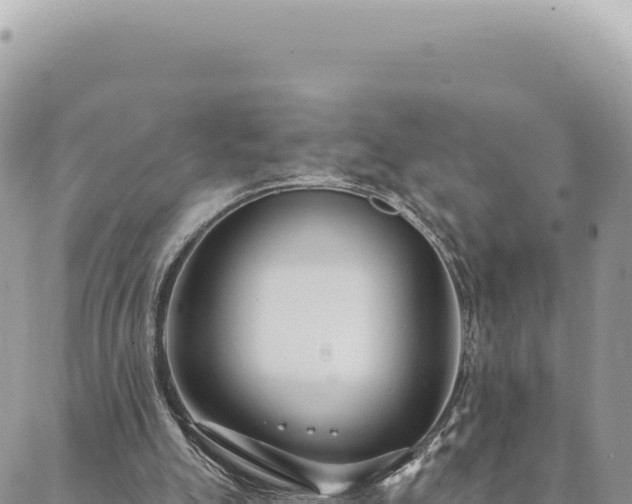 X0000088610055200706011238