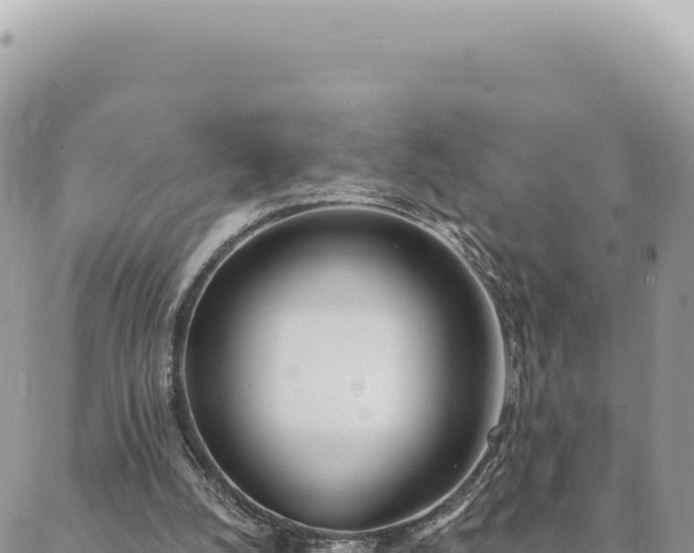 X0000088610056200706011238