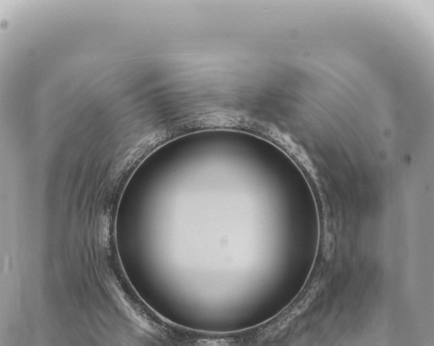 X0000088610057200706011238