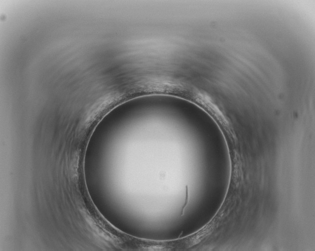 X0000088610058200706011238