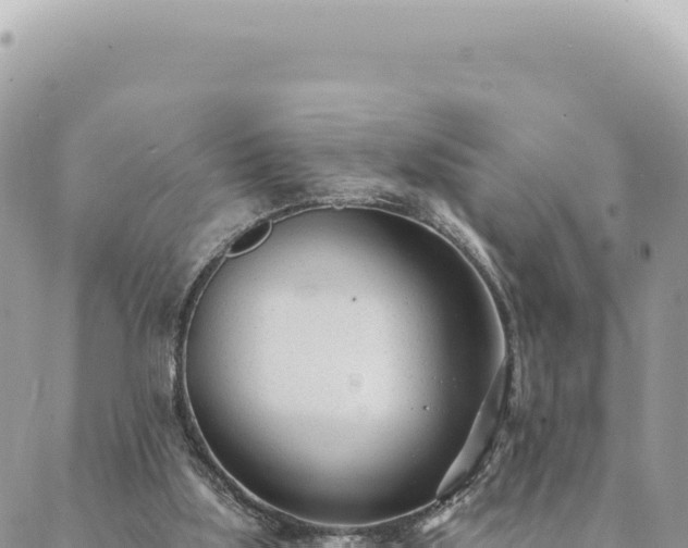 X0000088610059200706011238