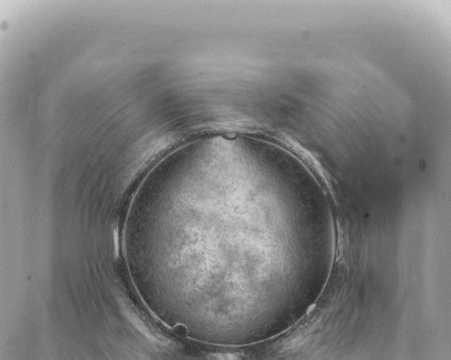 X0000088610061200706011238