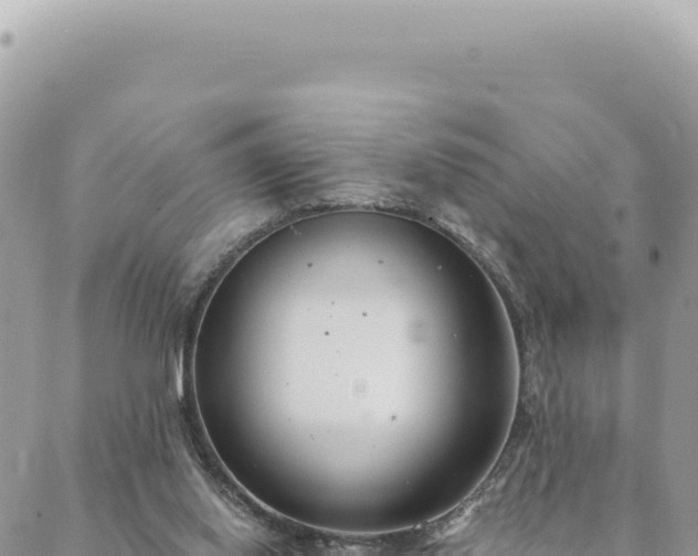 X0000088610062200706011238