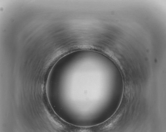 X0000088610063200706011238