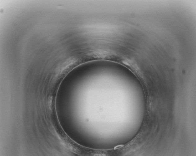 X0000088610066200706011238