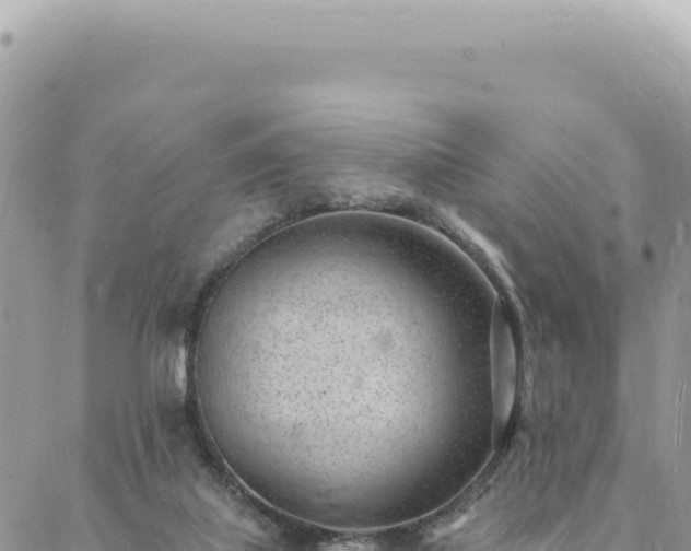 X0000088610067200706011238