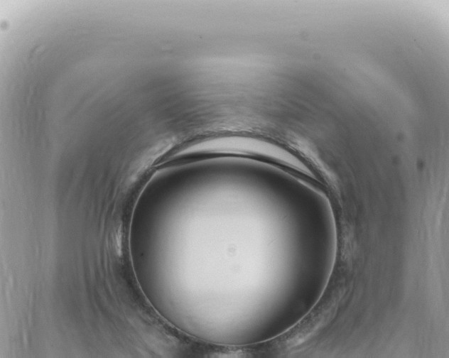 X0000088610068200706011238