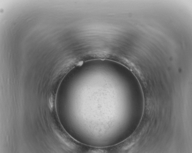 X0000088610069200706011238