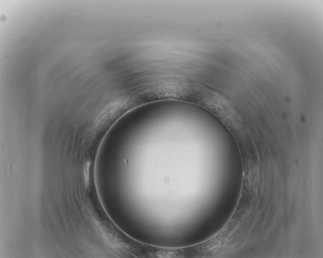 X0000088610070200706011238