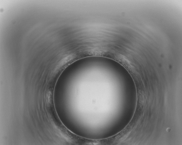 X0000088610071200706011238