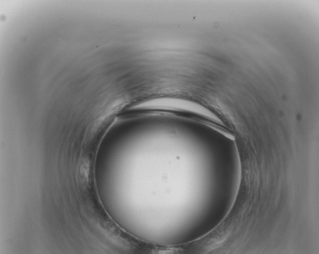 X0000088610072200706011238