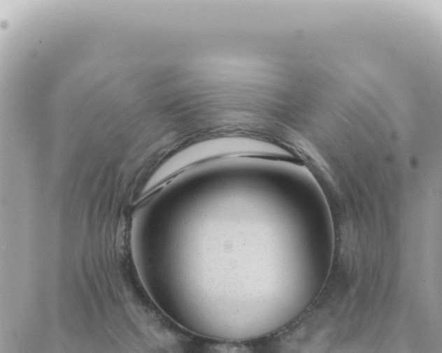 X0000088610073200706011238