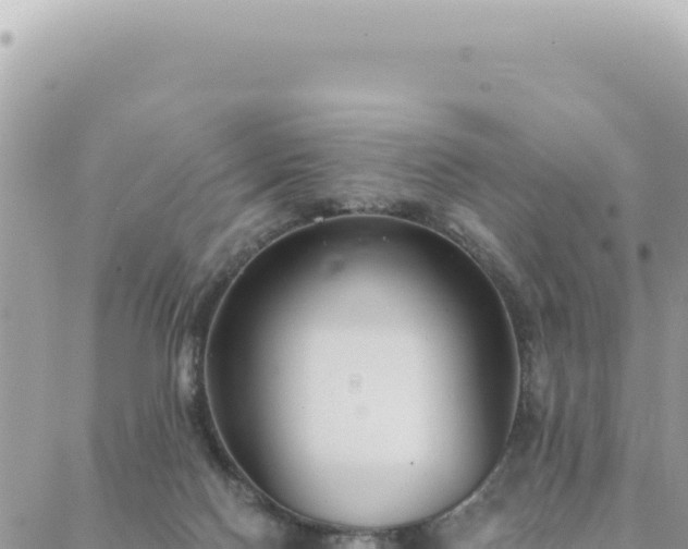 X0000088610074200706011238