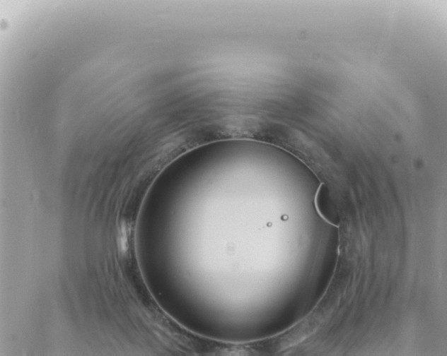 X0000088610075200706011238