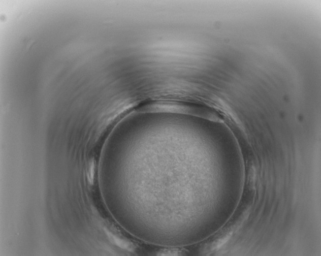 X0000088610076200706011238