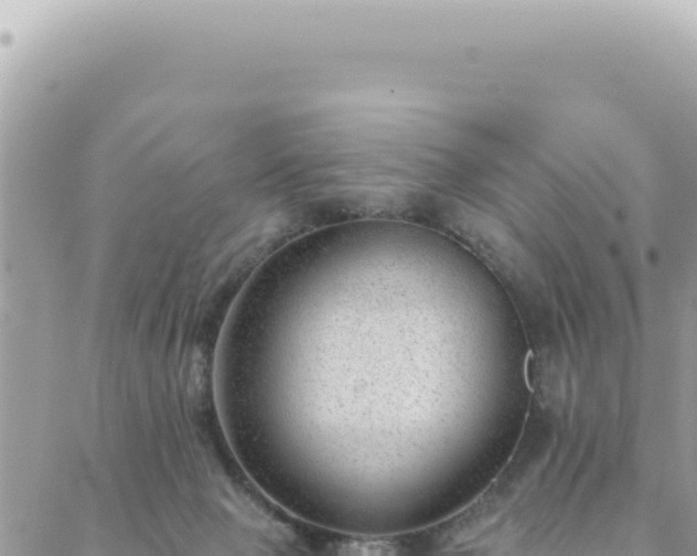 X0000088610077200706011238