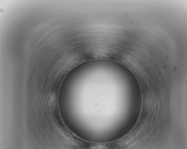 X0000088610079200706011238