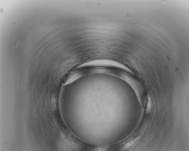 X0000088610080200706011238