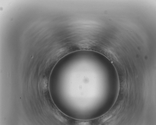 X0000088610081200706011238