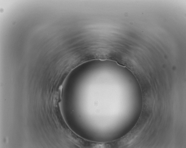 X0000088610083200706011238