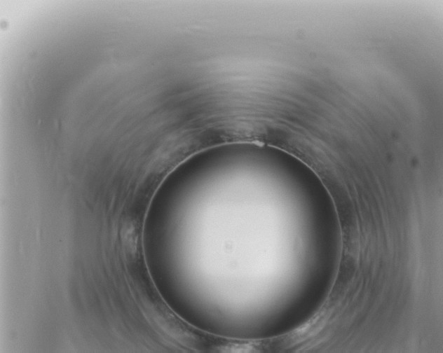 X0000088610086200706011238