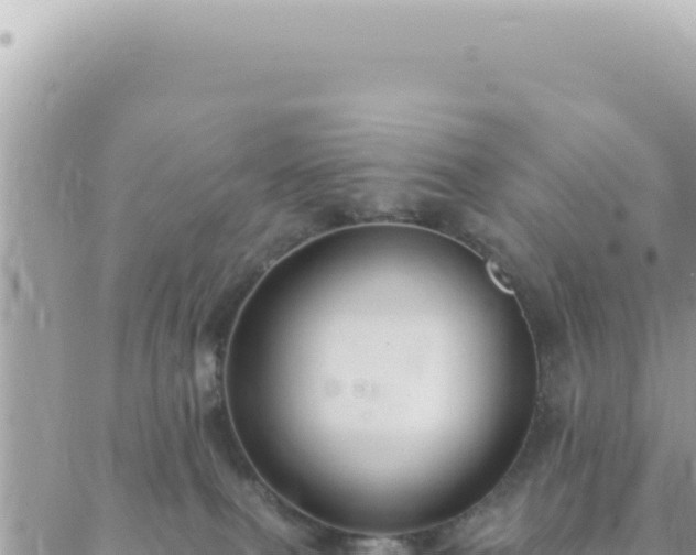 X0000088610087200706011238