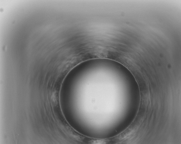 X0000088610088200706011238