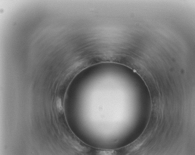 X0000088610089200706011238