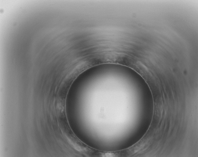 X0000088610091200706011238