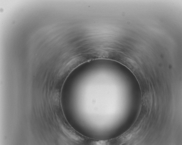 X0000088610092200706011238