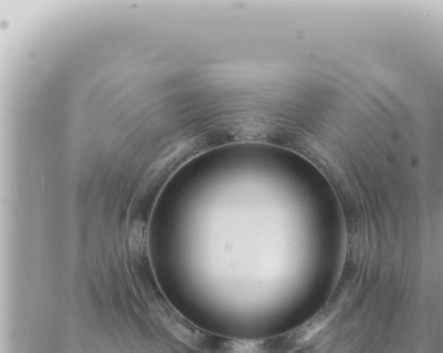 X0000088610093200706011238