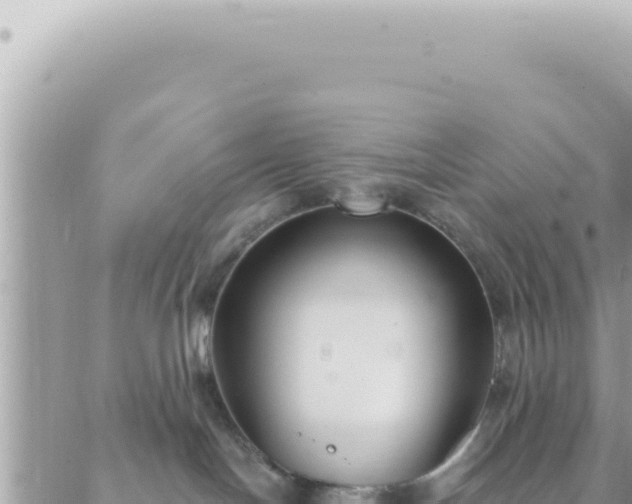 X0000088610094200706011238