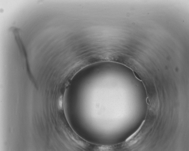 X0000088610095200706011238