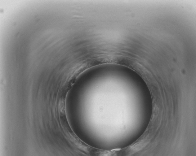 X0000088610096200706011238