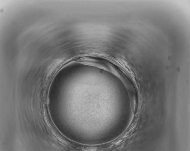 X0000088610097200706011237