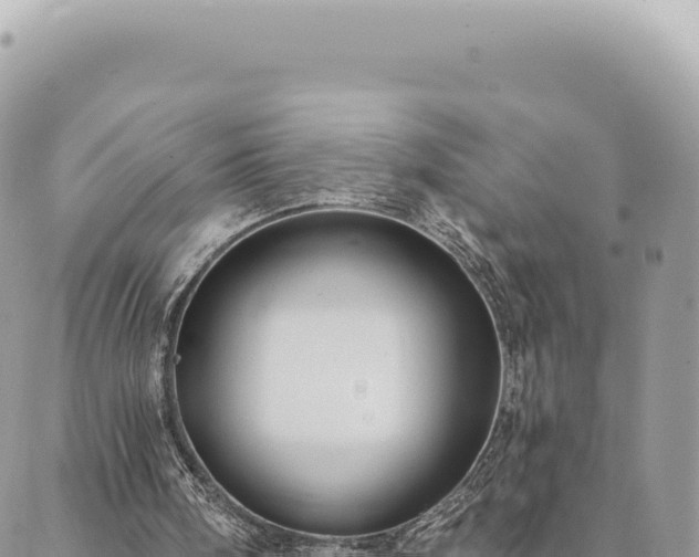 X0000088610098200706011237