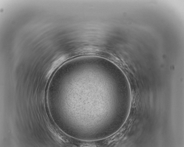 X0000088610099200706011237