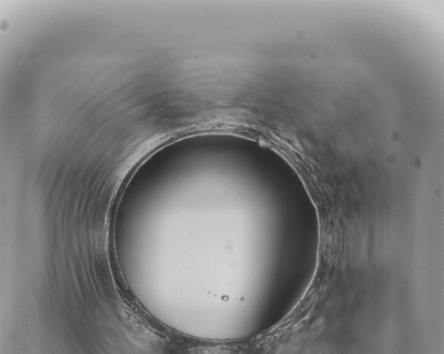 X0000088610100200706011237