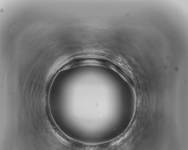 X0000088610101200706011237