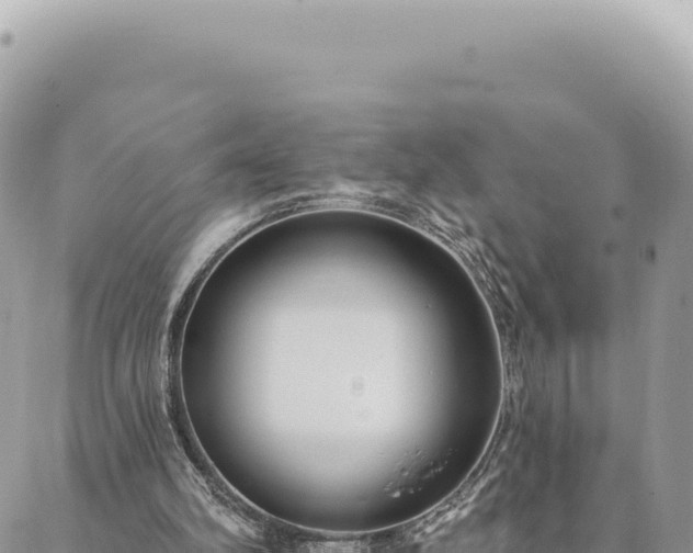 X0000088610102200706011237