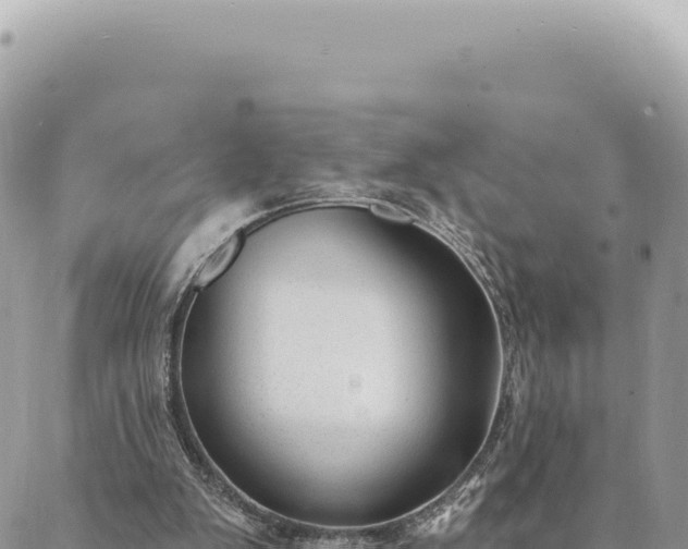 X0000088610103200706011237