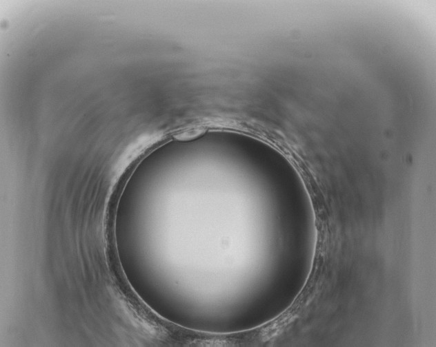 X0000088610104200706011237