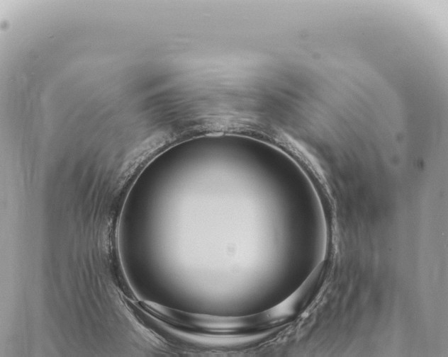 X0000088610105200706011237