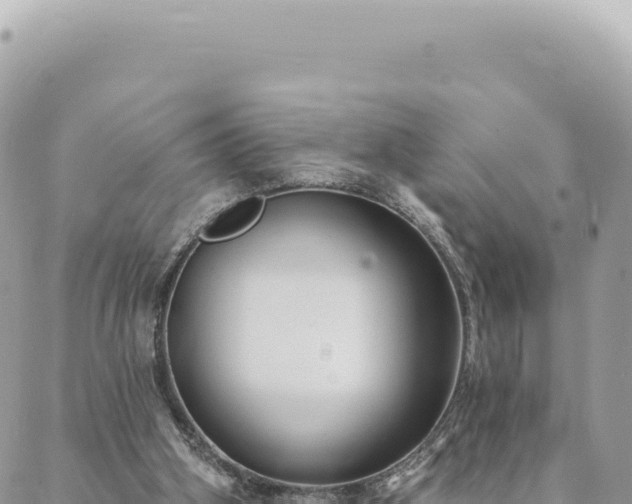 X0000088610106200706011237