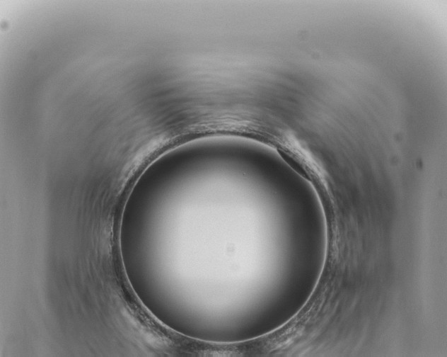 X0000088610107200706011237